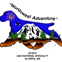 Northwest-Adventure-National-Logo-px4hi457j84yoq5hg9ydaxy8bjdz4v6l89f247gpj8