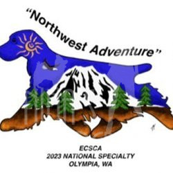 Northwest-Adventure-National-Logo-px4hi457j84yoq5hg9ydaxy8bjdz4v6l89f247gpj8