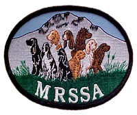 MRSSA Agility Feb 2020